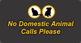 No Domestic Animal Calls Please