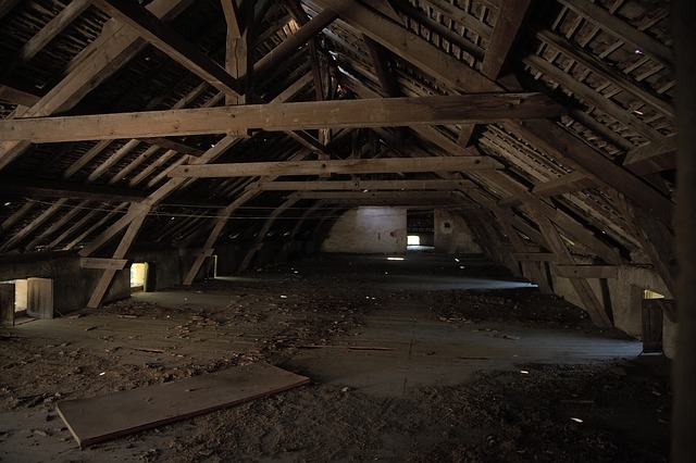 Wildlife Damage Control in Kansas City Attic